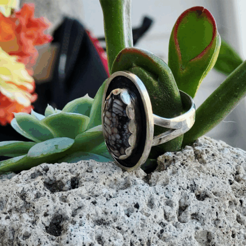 Fossil Ring